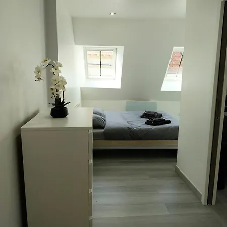 Duplex Chic Et Pratique Apartment *