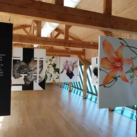 Duplex Chic Et Pratique