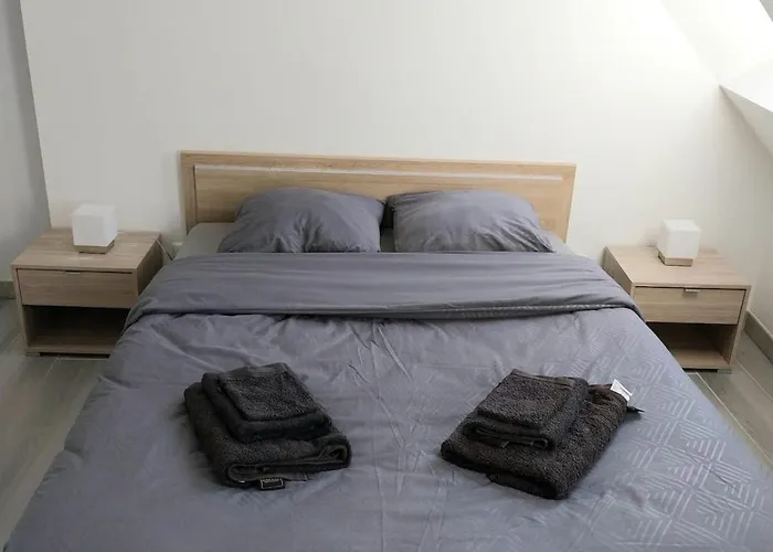 Duplex Chic Et Pratique